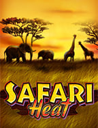 โปรแกรม สแกน joker ที่ช่วยพิชิตเกมสล็อต